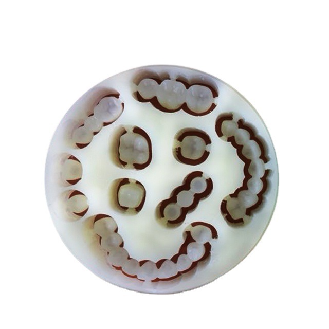 유세라 내구 치과 단층 PMMA, 신뢰할 수 있고 고품질 치과 보철물 제작용